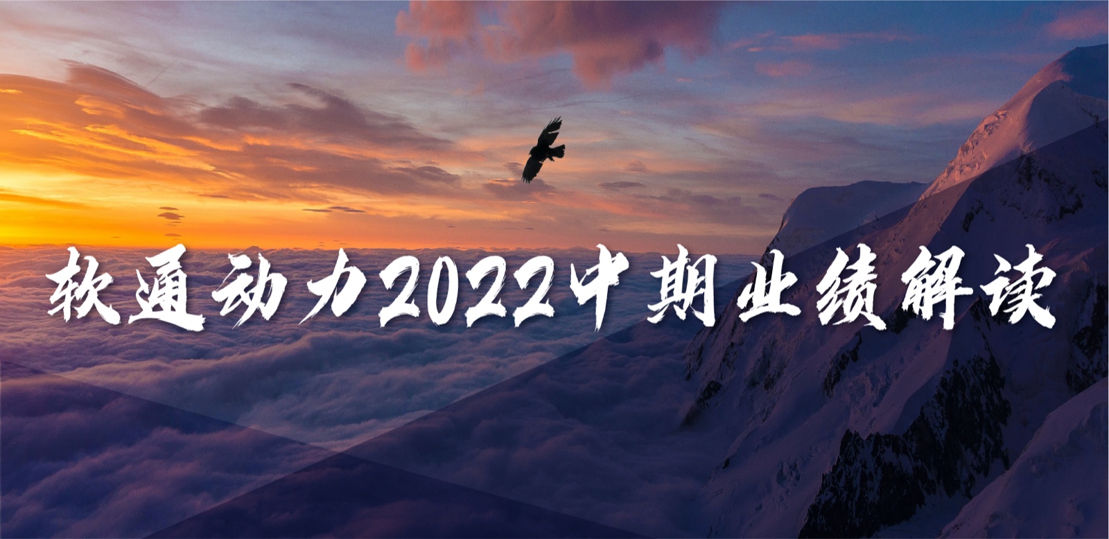 FH�����¼20����������2022����ҵ������ʵ��Ϊ��Ӫ���ȹ�������һ���Ż�Ӫҵ�ṹ
