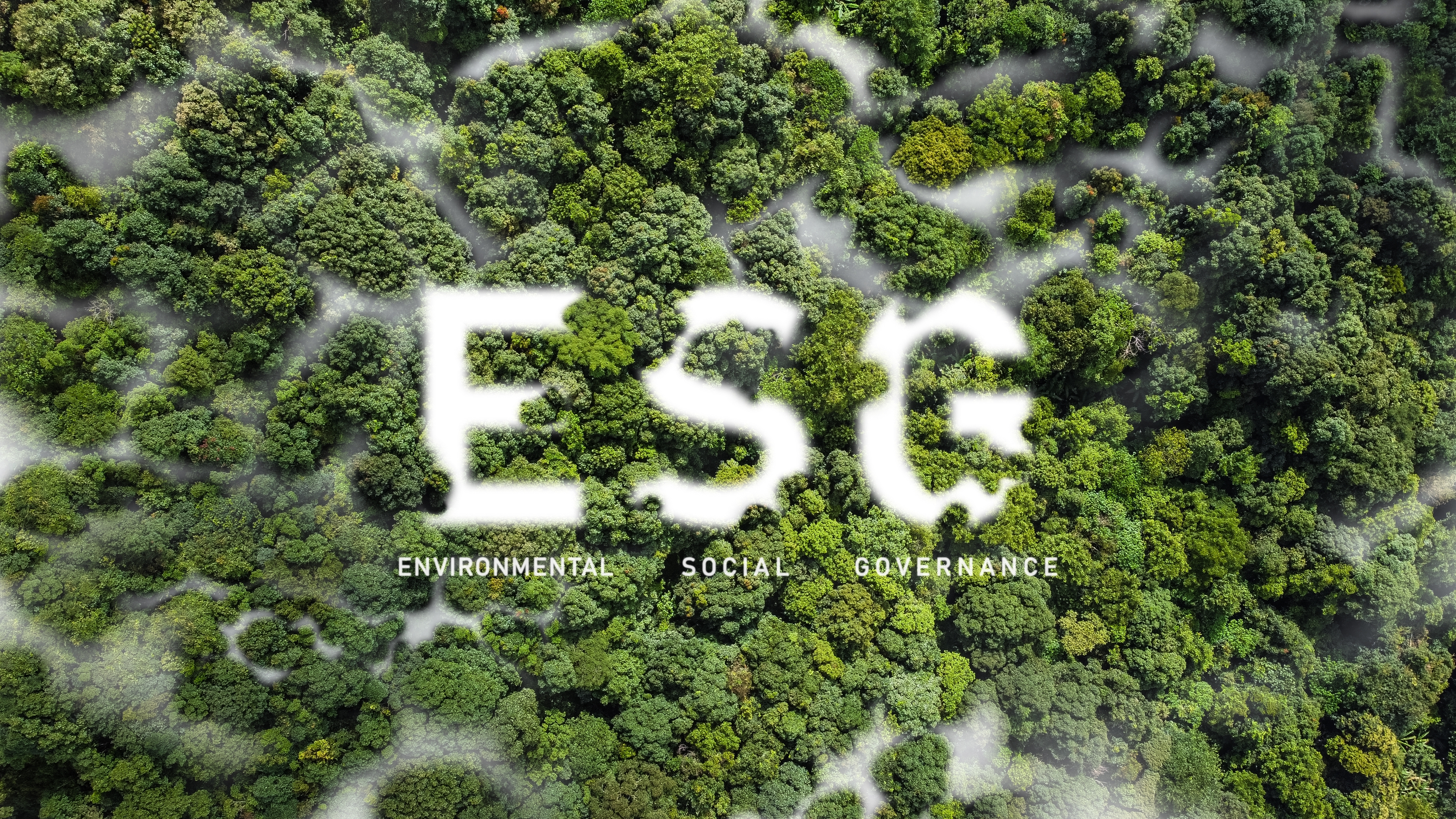 FH�����¼20����������ESGһ��������ҵ��һ �ٴ��ϰ�Wind�й����й�˾ESG���ʵ��100ǿ